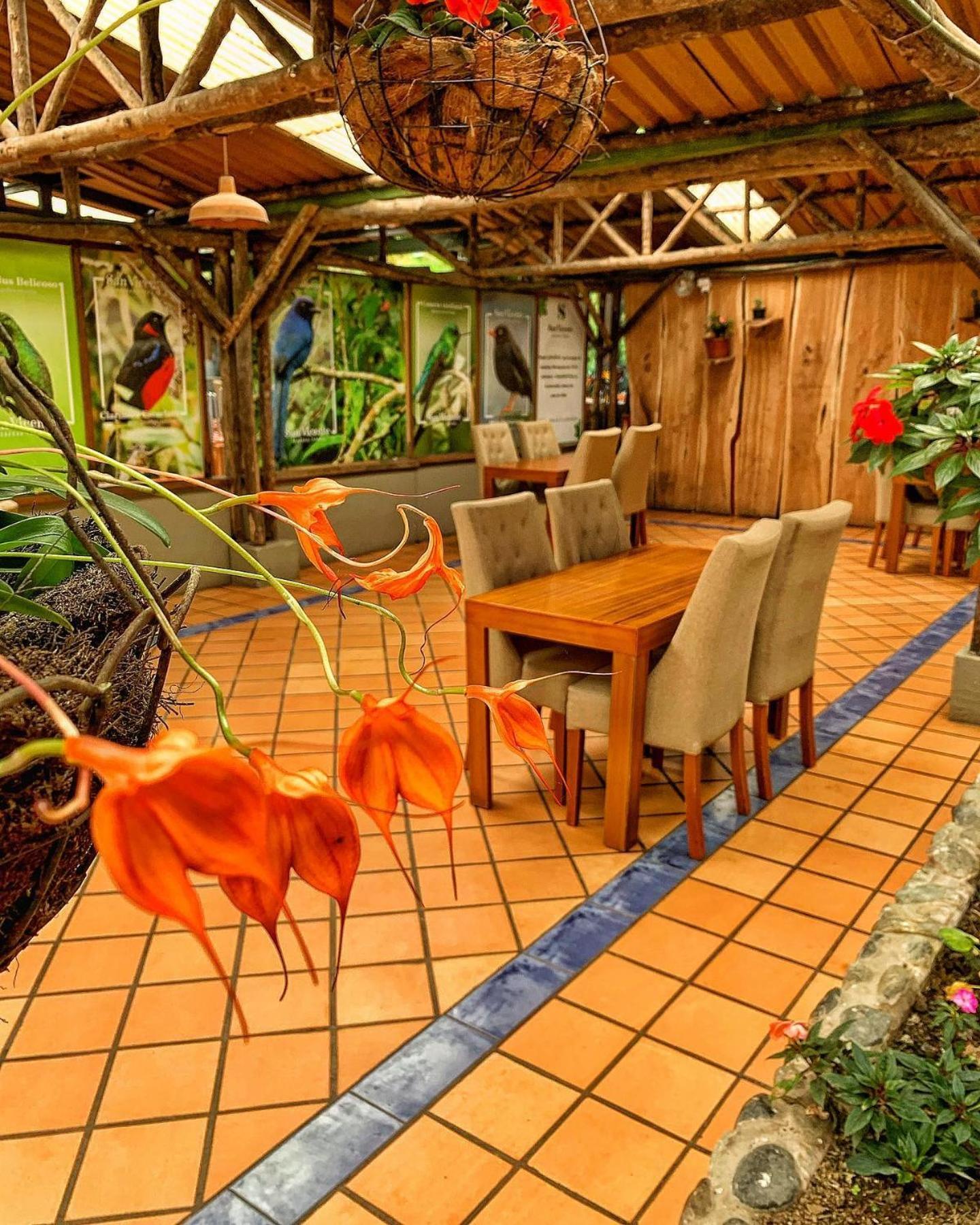 Hotel Termales San Vicente Santa Rosa de Cabal Exteriér fotografie