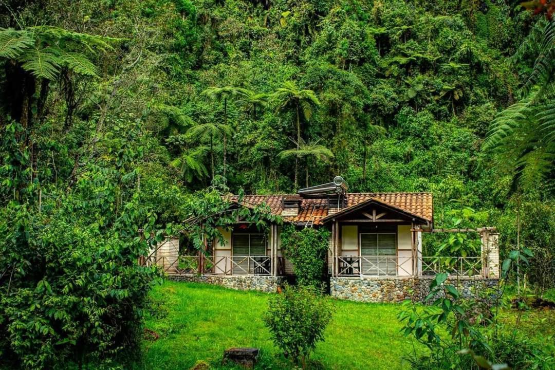 Hotel Termales San Vicente Santa Rosa de Cabal Exteriér fotografie